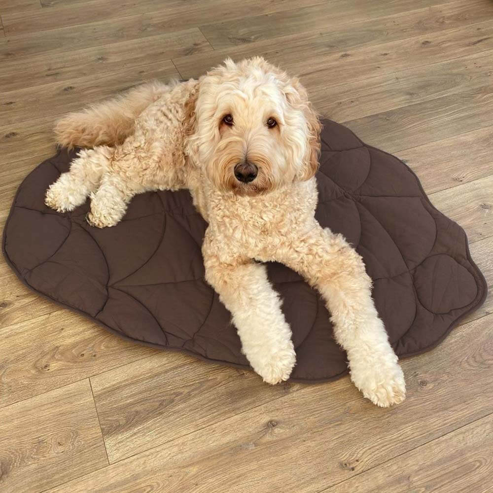 Leaf Shape Dog Blanket - Image 9