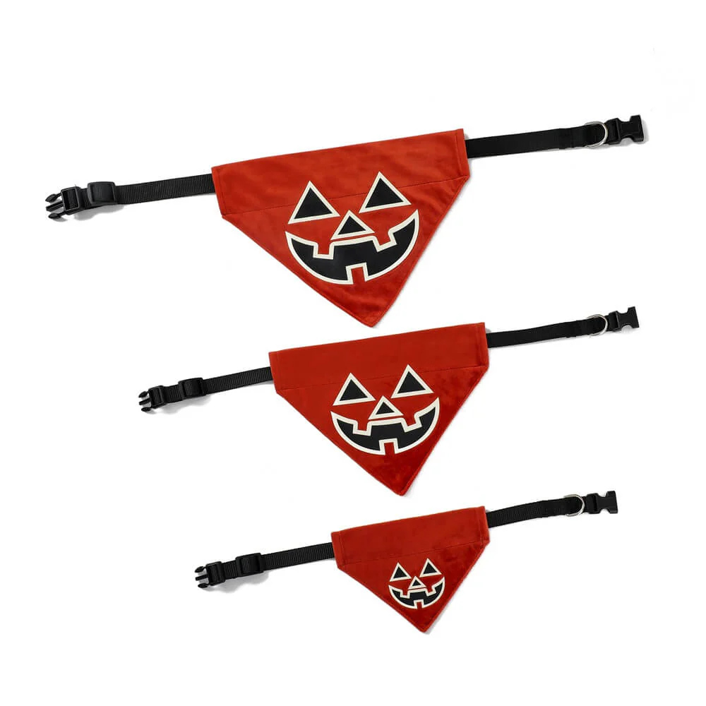 Luminous Halloween Pet Bandana | Glowing Triangle Pet Bib & Collar - Image 5