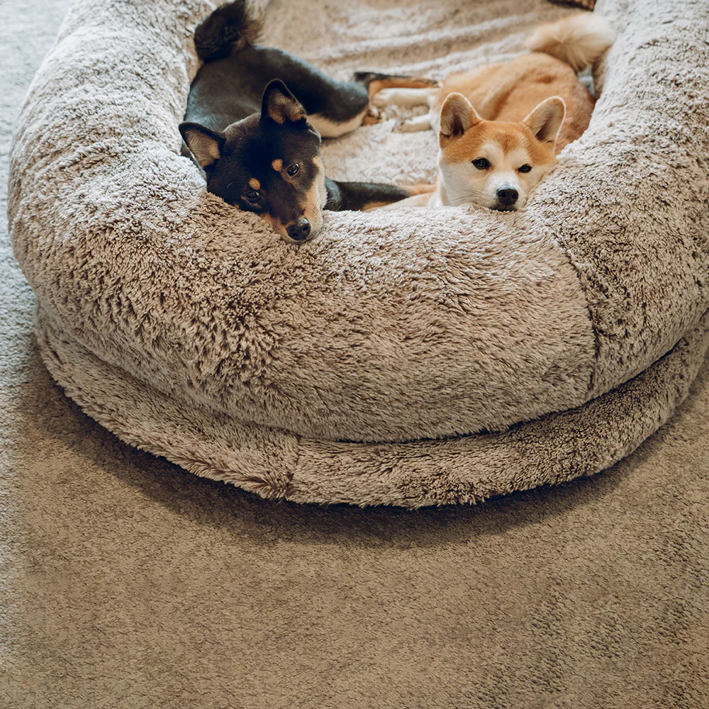 Luxury Super Large Sleep Deeper Oval Bed Human Dog Bed - Image 19