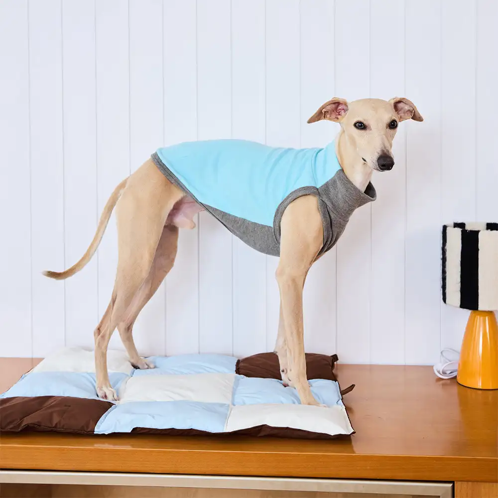 Macaron Color Water-Repellent Multi-Purpose Dog Mat - Image 3