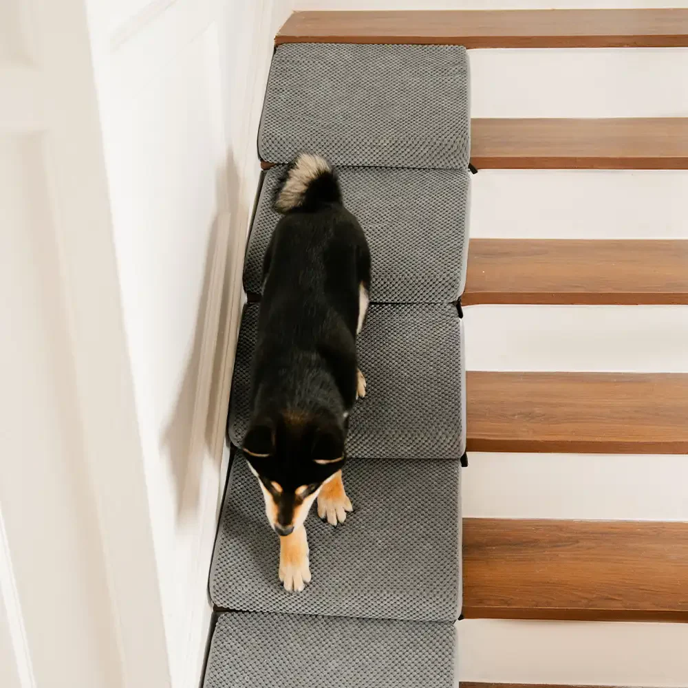Modular Foam Dog Ramp Stairs for Staircase Stairs with Velcro - Image 12
