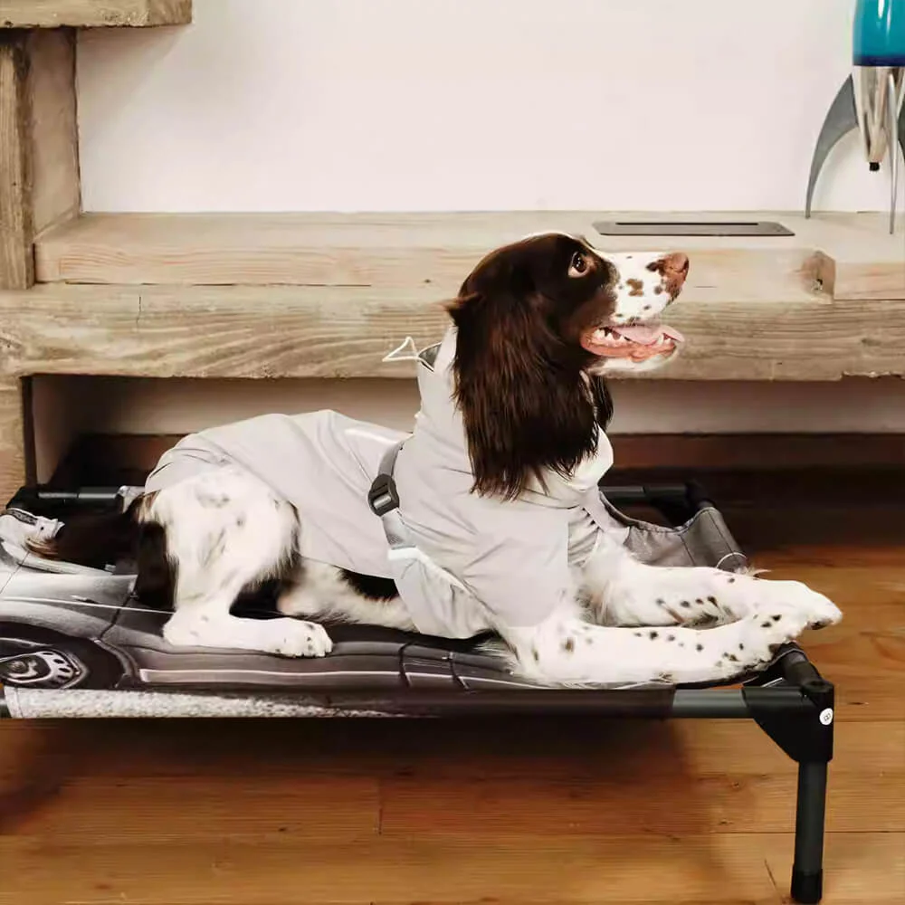 Outdoor Stylish Waterproof Lightweight Turtleneck Dog Jacket Raincoat - Image 5