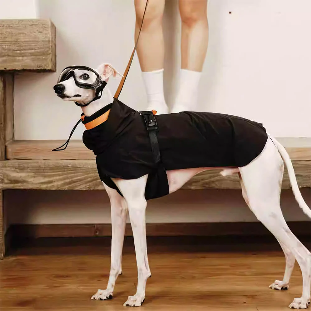 Outdoor Stylish Waterproof Lightweight Turtleneck Dog Jacket Raincoat - Image 6