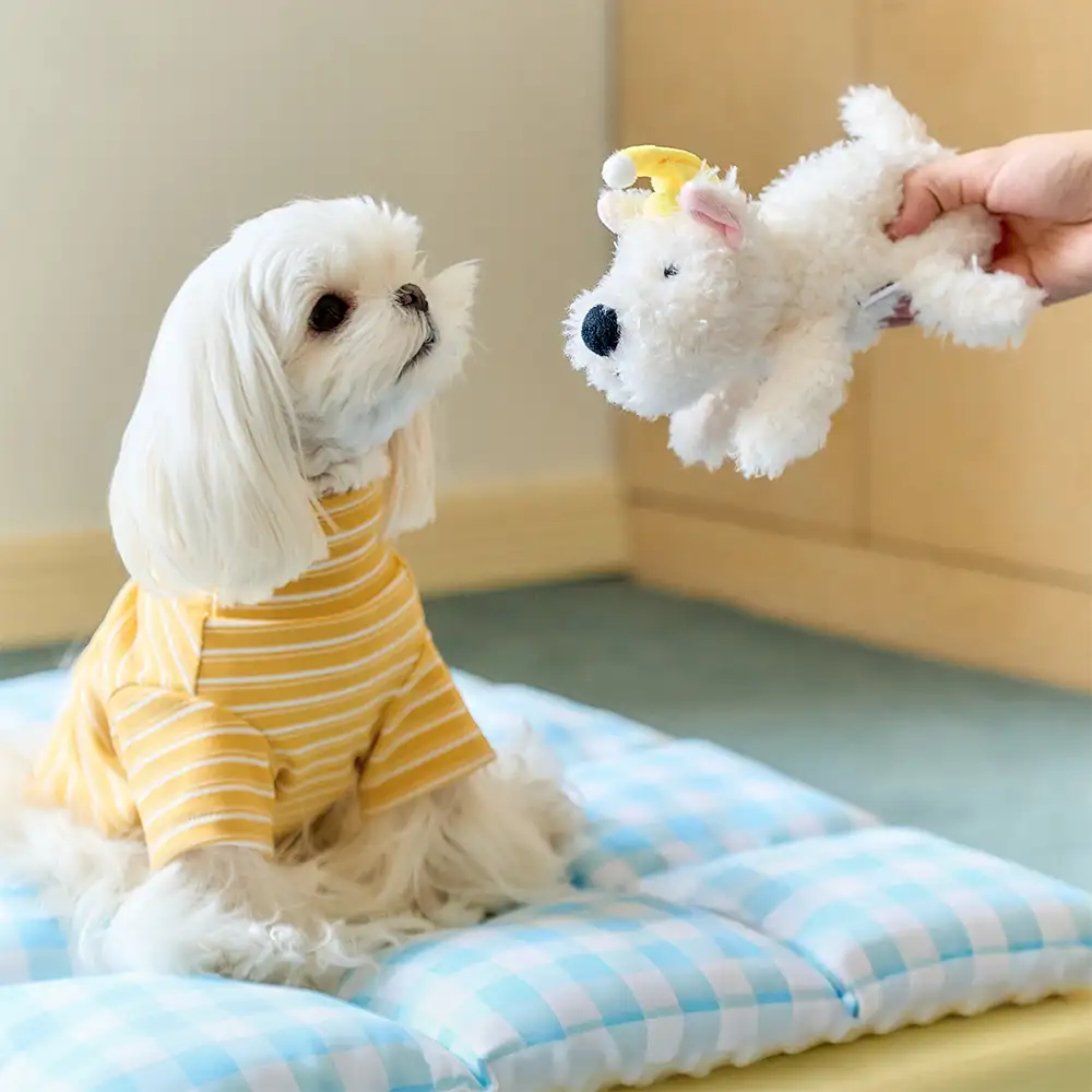 Play And Rest All-In-One Double-Layer Comfortable Washable Dog Bed - Pet Exclusive - Image 4