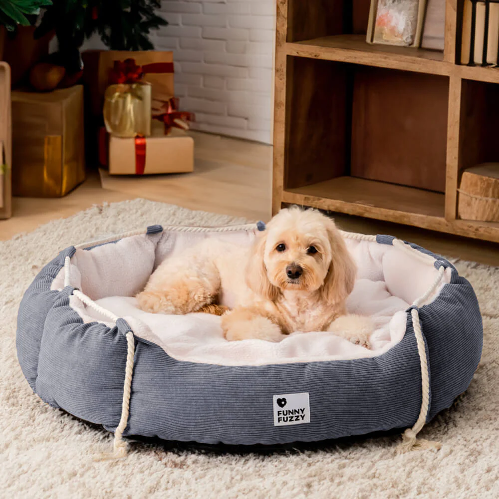 Playful Pull Rope Pet Bed Adjustable Chew-Resistant Dog & Cat Bed - Image 12