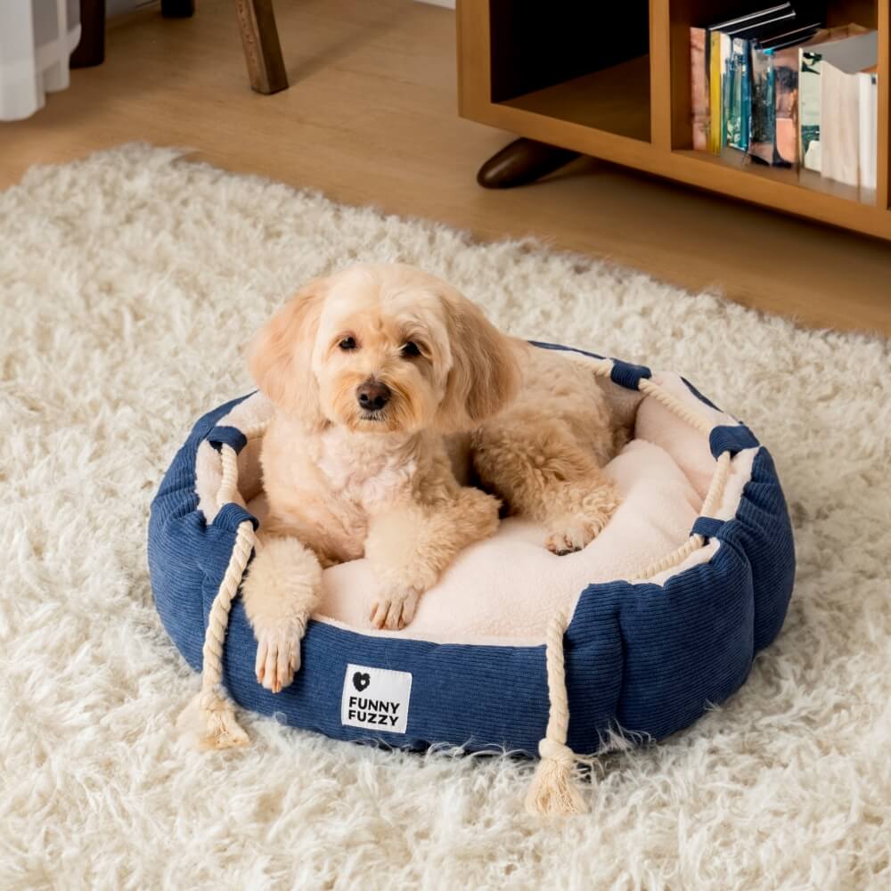 Playful Pull Rope Pet Bed Adjustable Chew-Resistant Dog & Cat Bed - Image 6