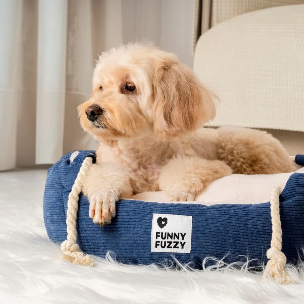 Playful Pull Rope Pet Bed Adjustable Chew-Resistant Dog & Cat Bed - Image 7