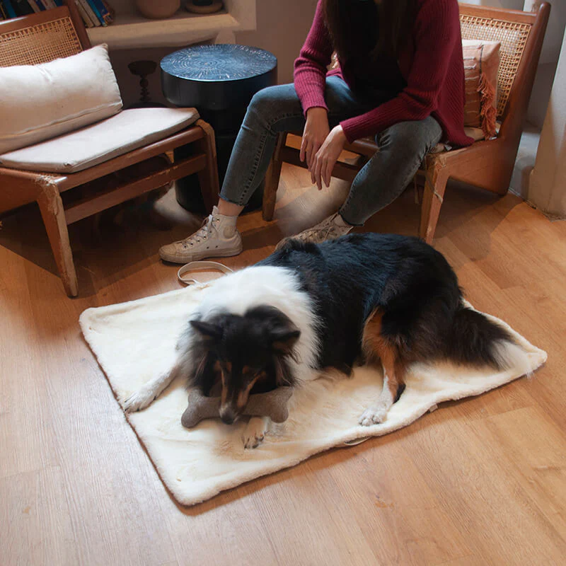 Portable Dog Mat - Image 4