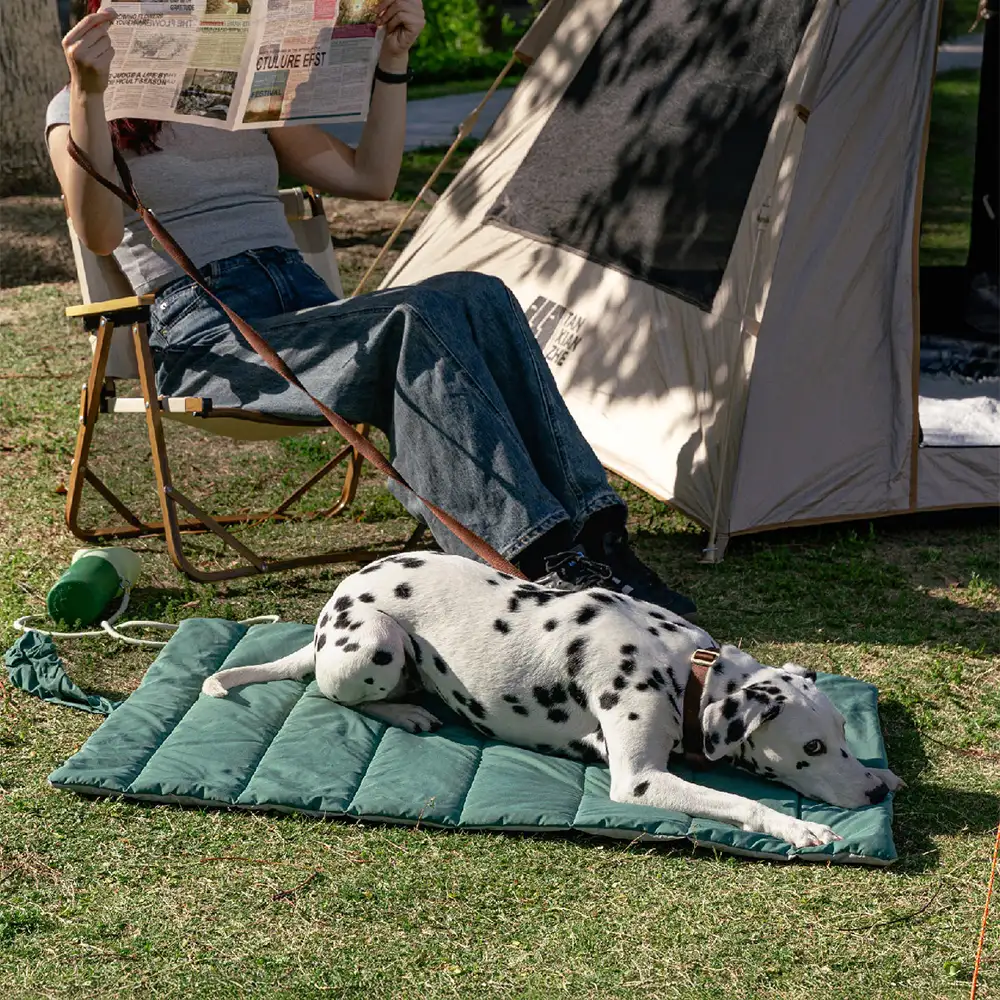 Portable Foldable Double-Sided Water-Repellent Dog Mat for Outdoor Travel & Camping - Image 11