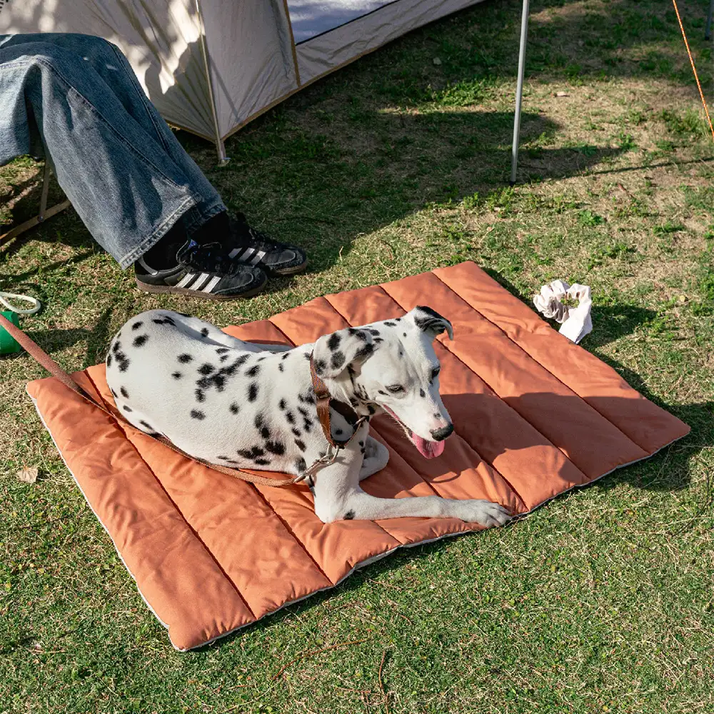 Portable Foldable Double-Sided Water-Repellent Dog Mat for Outdoor Travel & Camping - Image 12