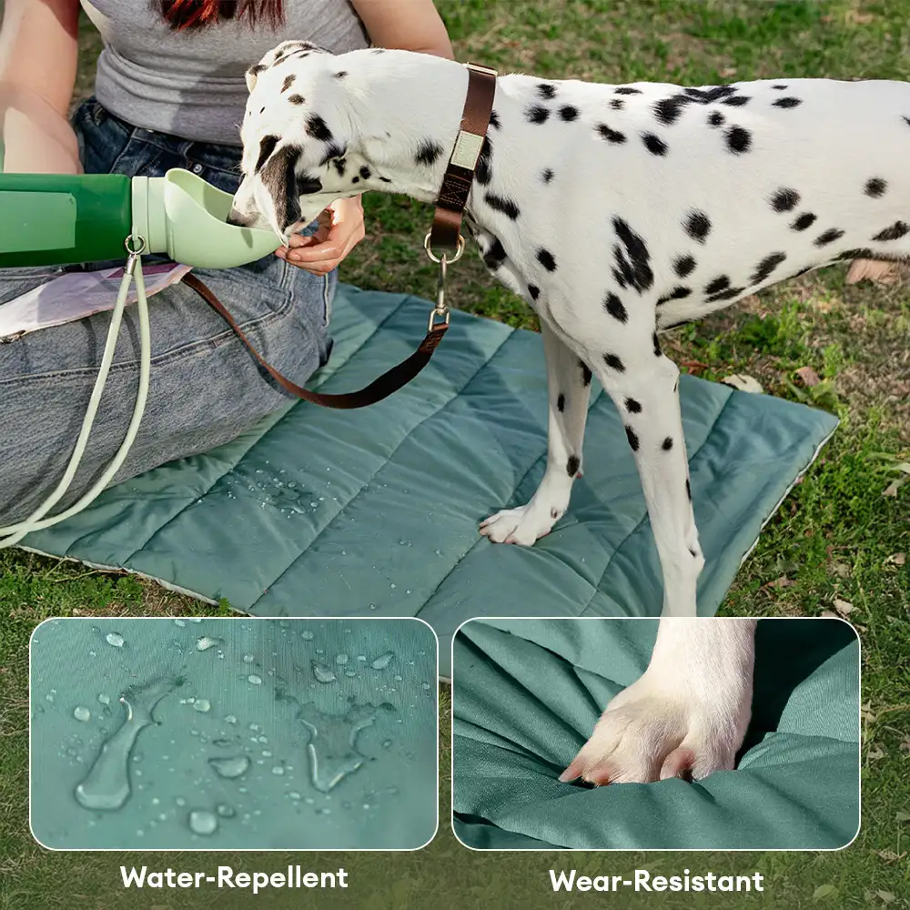 Portable Foldable Double-Sided Water-Repellent Dog Mat for Outdoor Travel & Camping - Image 6