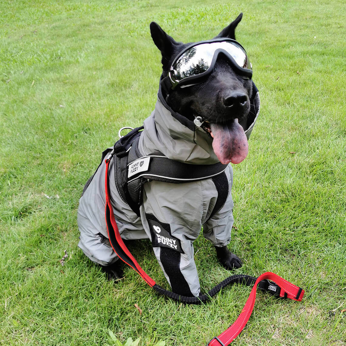 Reflective All-weather Waterproof Cool Dog Accessories Rain Coat - Image 14
