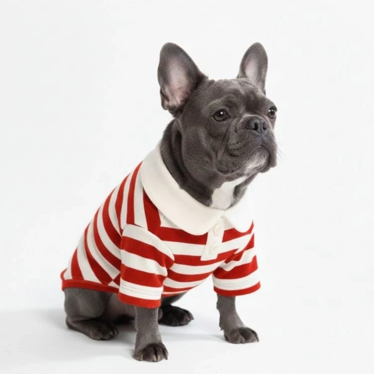Classic Striped Polo Dog Shirts - Image 5
