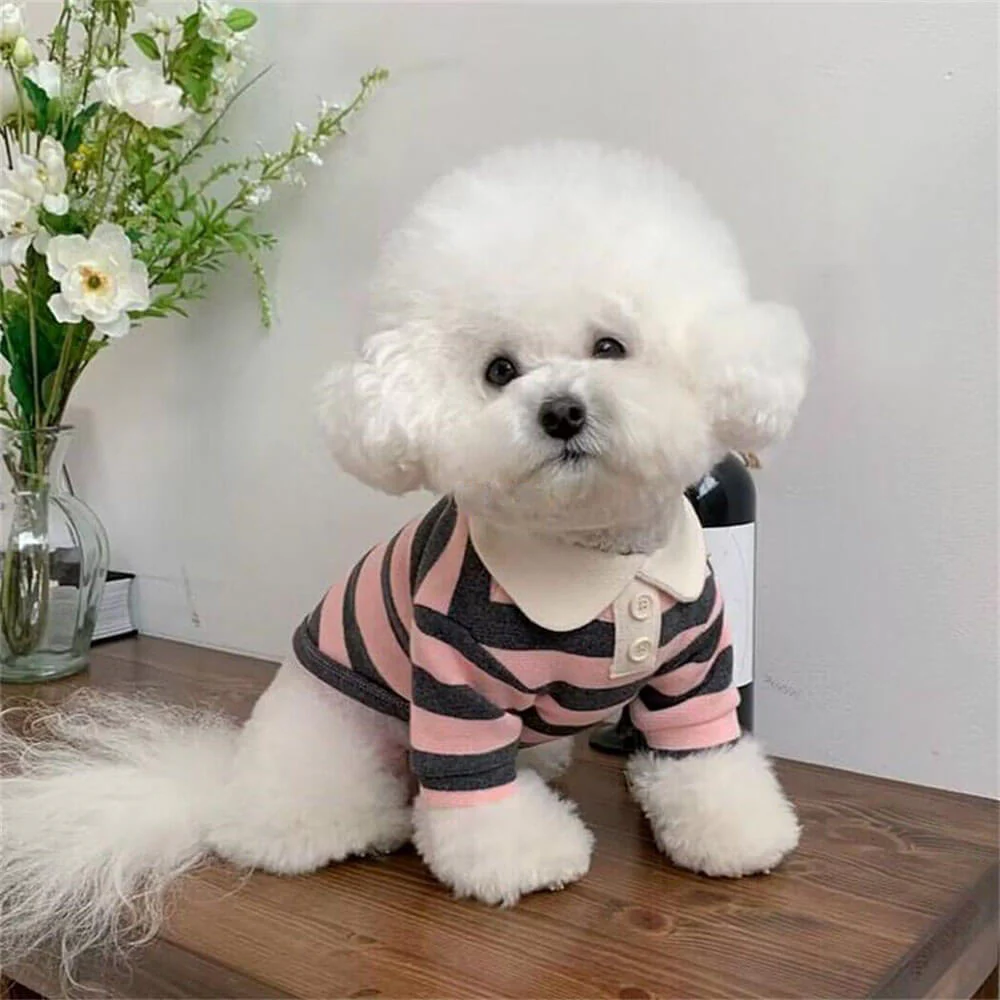 Classic Striped Polo Dog Shirts - Image 9