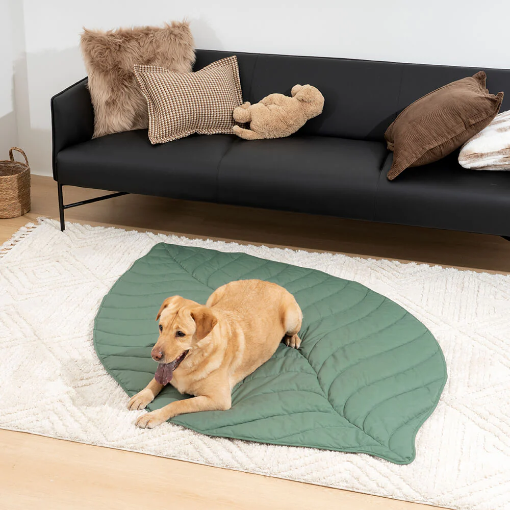 Super Large Leaf Shape Human Mat Dog Blanket - Image 11