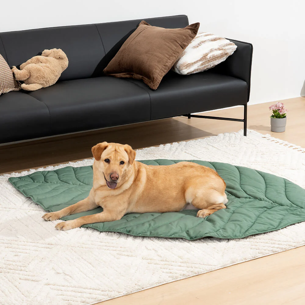 Super Large Leaf Shape Human Mat Dog Blanket - Image 12