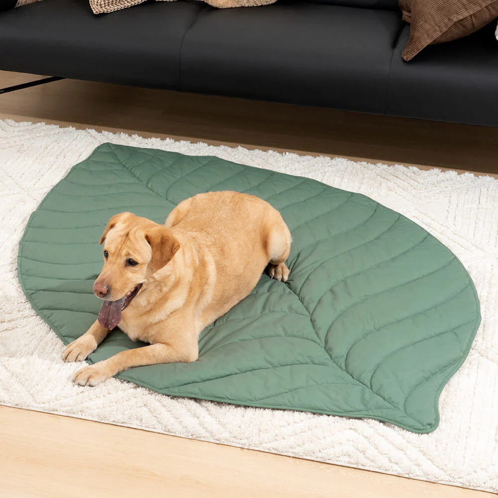 Super Large Leaf Shape Human Mat Dog Blanket - Image 8