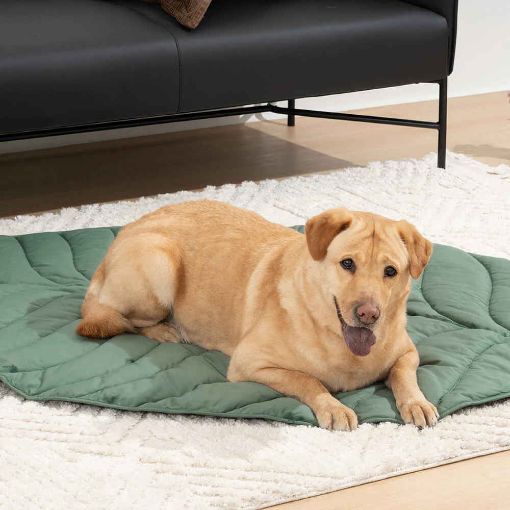 Super Large Leaf Shape Human Mat Dog Blanket - Image 9