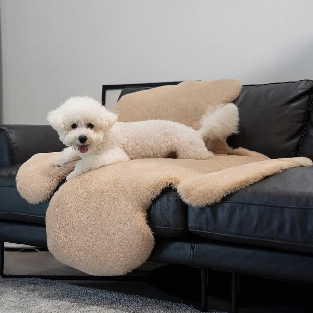 Teddy Bear Shaped Fluffy Large Pet Mat - Image 3