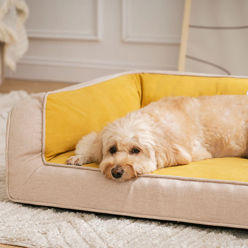 Ultimate Lounger Full Support Comfortable Orthopedic Dog Sofa Bed - Image 8