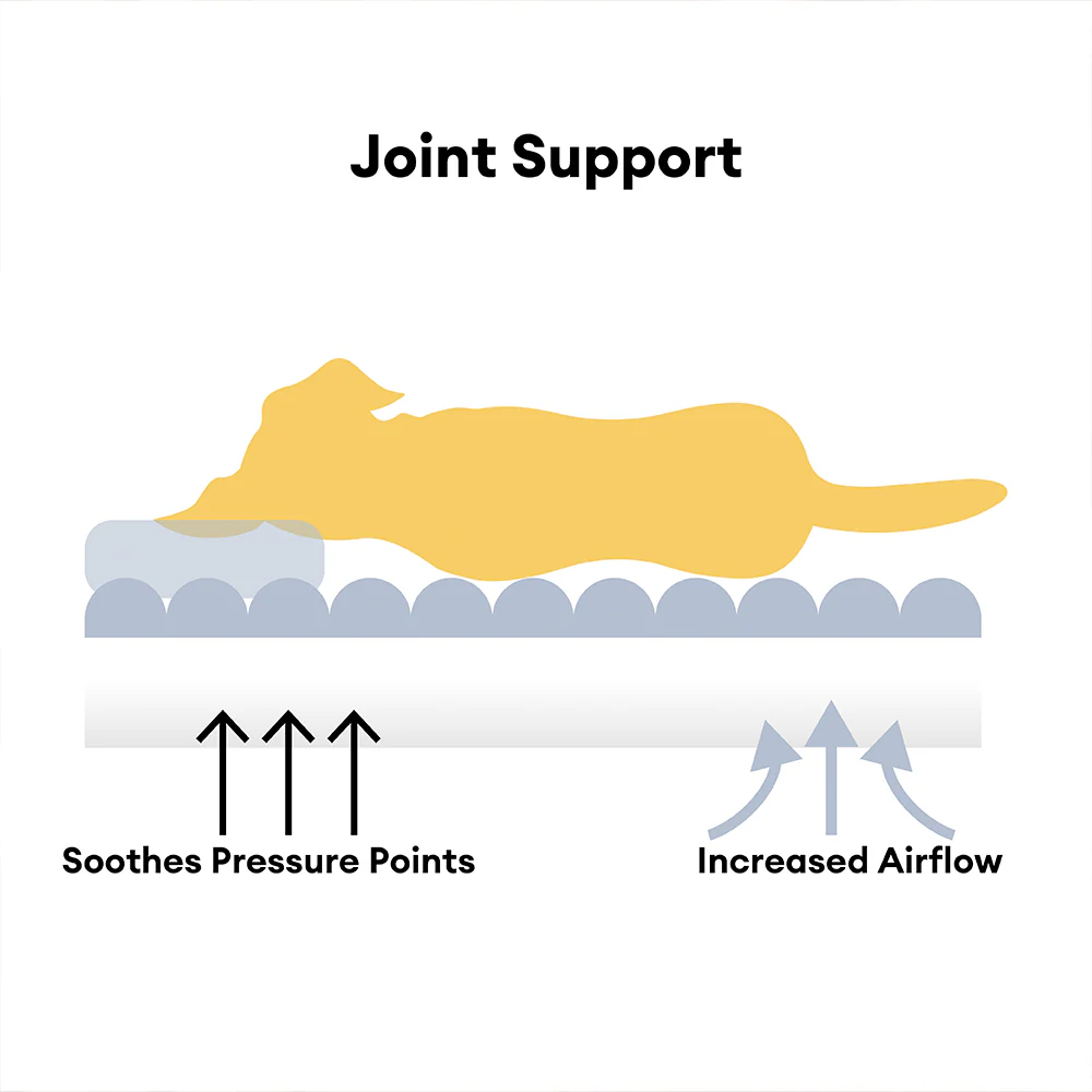 Washable Calming Soft Pillow Bolster Cat Bed-Snoozy Dream - Image 6