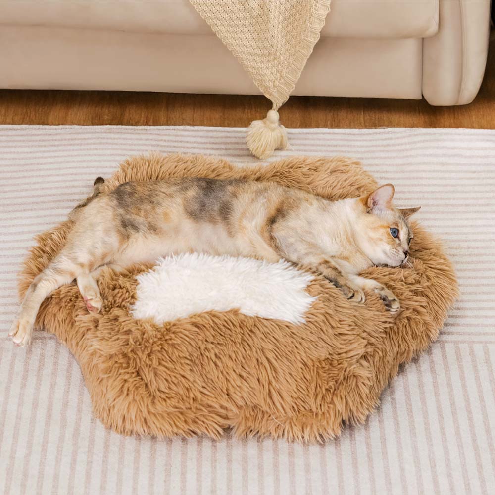 Washable Fluffy Non-Slip Cozy Cat Bed-Paw Spot - Image 4