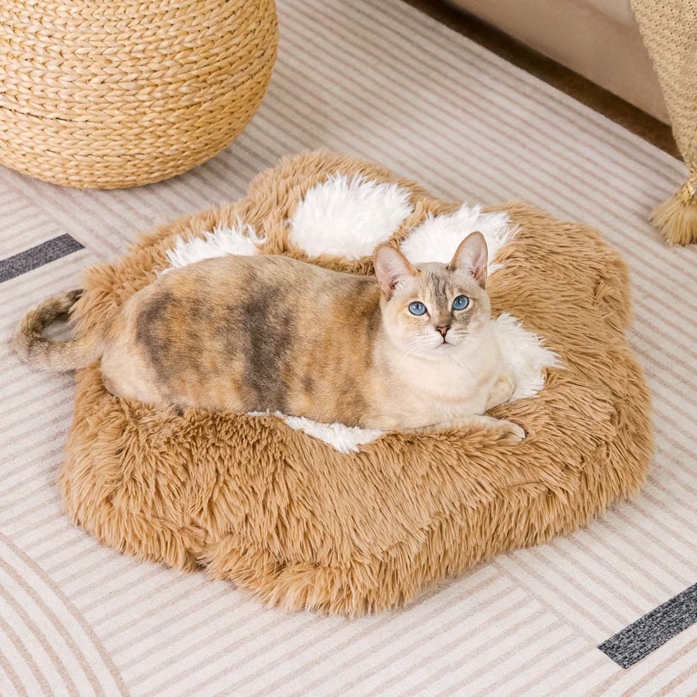 Washable Fluffy Non-Slip Cozy Cat Bed-Paw Spot - Image 5
