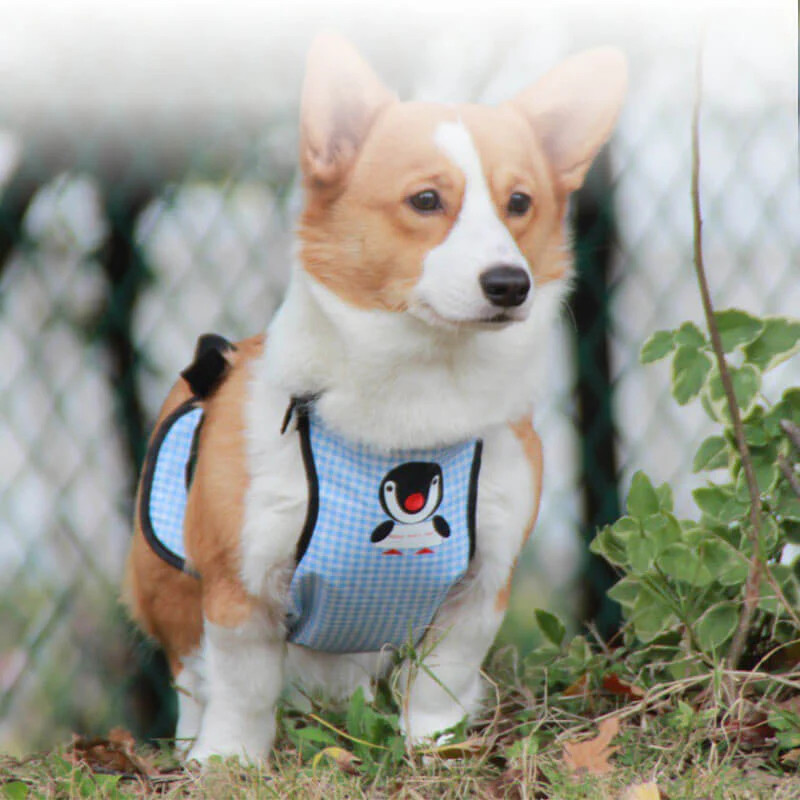 Waterproof Plaid Pet Slobber Bib Dog Belly Cover - Image 8